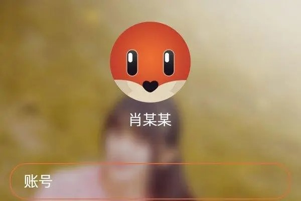 探探是干什么用的？